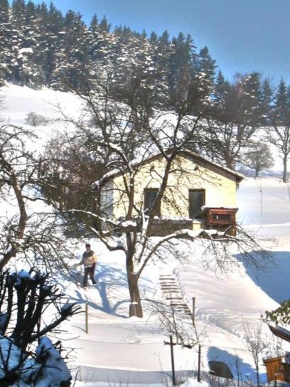 Hotel-Gasthaus Steiger Grafenthal Экстерьер фото